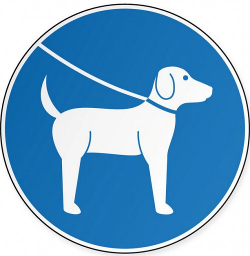 Tenir les chiens en laisse du 1er avril au 15 juillet